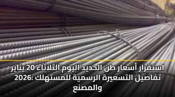 astqrar asaar tn alhdyd alywm althlathaa 20 ynayr 2026 tfasyl altsayrh alrsmyh llmsthlk walmsna