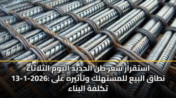astqrar sar tn alhdyd alywm althlathaa 13 1 2026 ntaq albya llmsthlk wtathyrh ala tklfh albnaa