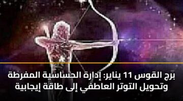brj alqws 11 ynayr idarh alhsasyh almfrth wthwyl altwtr alaatfy ila taqh iyjabyh
