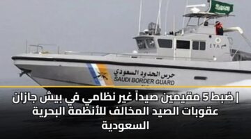 dbt 5 mqymyn syda ghyr nzamy fy bysh jazan aqwbat alsyd almkhalf llanzmh albhryh alsawdyh