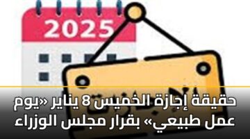 hqyqh ijazh alkhmys 8 ynayr ywm aml tbyay bqrar mjls alwzraa