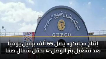 intaj jabkw ysl 65 alf brmyl ywmya bad tshghyl br alwsl 4 bhql shmal sfa