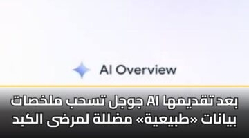 jwjl tshb mlkhsat ai bad tqdymha byanat tbyayh mdllh lmrda alkbd 3