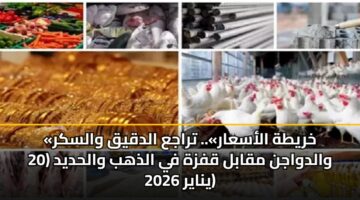 khryth alasaar. traja aldqyq walskr waldwajn mqabl qfzh fy aldhhb walhdyd 20 ynayr 2026
