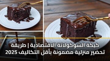 kykh alshwkwlath alaqtsadyh tryqh thdyr mnzlyh mdmwnh baql altkalyf 2025