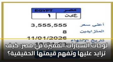 lwhat alsyarat almmyzh fy msr kyf tzayd alyha wtfhm qymtha alhqyqyh