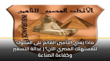 madha yany altamyn alqam ala alslwk llmsthlk almsry alaan adalh altsayr wkfaah alsnaah
