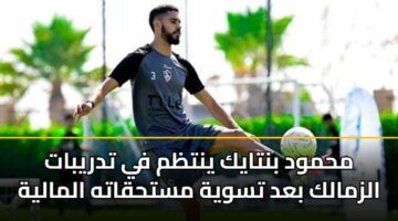 mhmwd bntayk yntzm fy tdrybat alzmalk bad tswyh msthqath almalyh