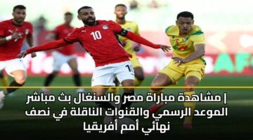 mshahdh mbarah msr walsnghal bth mbashr almwad alrsmy walqnwat alnaqlh fy nsf nhay amm afryqya