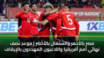 msr balahmr walsnghal balakhdr mwad nsf nhay amm afryqya wallaabwn almhddwn baliyqaf