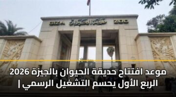 mwad afttah hdyqh alhywan baljyzh 2026 alrba alawl yhsm altshghyl alrsmy 3