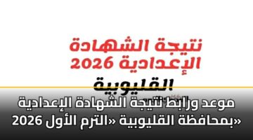 mwad wrabt ntyjh alshhadh aliadadyh 2026 bmhafzh alqlywbyh altrm alawl