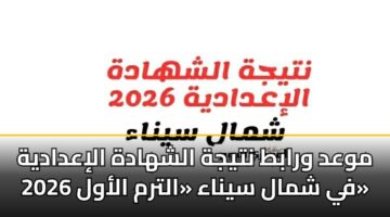 mwad wrabt ntyjh alshhadh aliadadyh 2026 fy shmal synaa altrm alawl