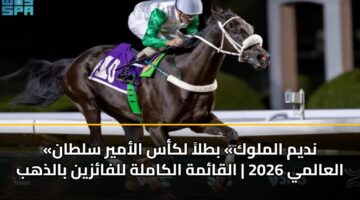 ndym almlwk btla lkas alamyr sltan alaalmy 2026 alqamh alkamlh llfazyn baldhhb