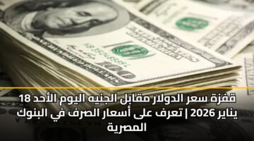 qfzh sar aldwlar mqabl aljnyh alywm alahd 18 ynayr 2026 tarf ala asaar alsrf fy albnwk almsryh 3