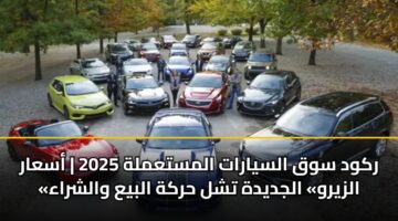 rkwd swq alsyarat almstamlh 2025 asaar alzyrw aljdydh tshl hrkh albya walshraa 3