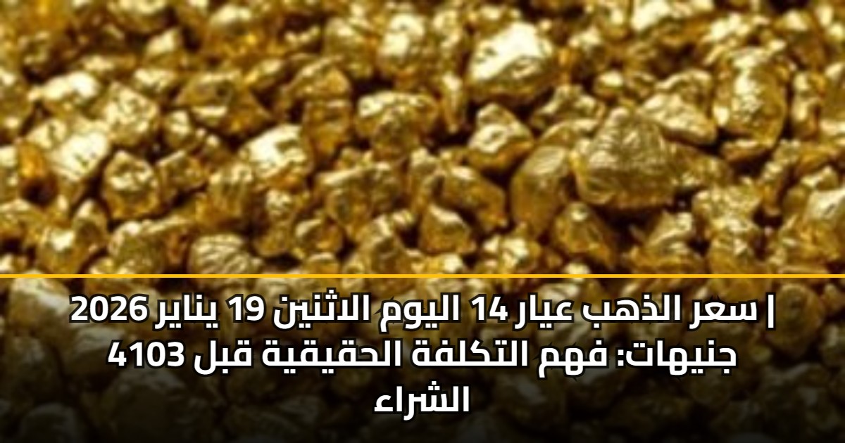 سعر الذهب عيار 14 اليوم الاثنين 19 يناير 2026 | 4103 جنيهات: فهم ...