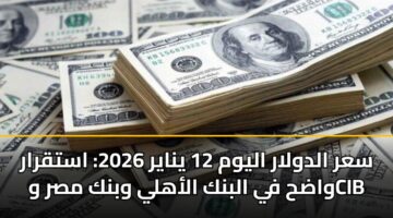 sar aldwlar alywm 12 ynayr 2026 astqrar wadh fy albnk alahly wbnk msr wcib
