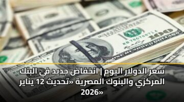 sar aldwlar alywm ankhfad jdyd fy albnk almrkzy walbnwk almsryh thdyth 12 ynayr 2026