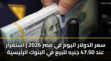 sar aldwlar alywm fy msr 2026 astqrar and 47.50 jnyh llbya fy albnwk alrysyh