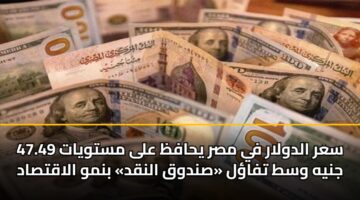 sar aldwlar fy msr yhafz ala mstwyat 47.49 jnyh wst tfal sndwq alnqd bnmw alaqtsad