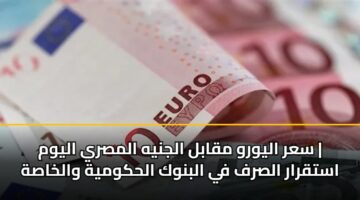 sar alywrw mqabl aljnyh almsry alywm astqrar alsrf fy albnwk alhkwmyh walkhash