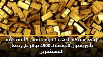 sar sbykh aldhhb 1 jram ylams 7 aalaf jnyh tathyr wswl alawnsh l 4500 dwlar ala sghar almstthmryn 3
