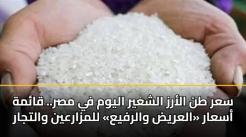 sar tn alarz alshayr alywm fy msr. qamh asaar alaryd walrfya llmzarayn waltjar 3