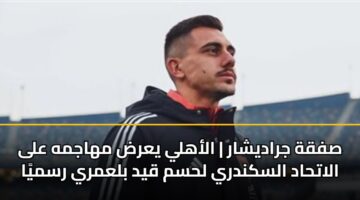 sfqh jradyshar alahly yard mhajmh ala alathad alskndry lhsm qyd blamry rsmya