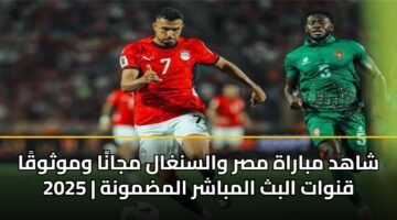 shahd mbarah msr walsnghal mjana wmwthwqa 2025 qnwat albth almbashr almdmwnh