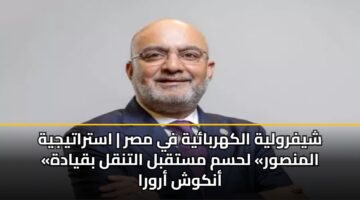 shyfrwlyh alkhrbayh fy msr astratyjyh almnswr lhsm mstqbl altnql bqyadh ankwsh arwra