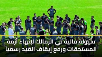 sywlh malyh fy alzmalk linhaa azmh almsthqat wrfa iyqaf alqyd rsmya 3
