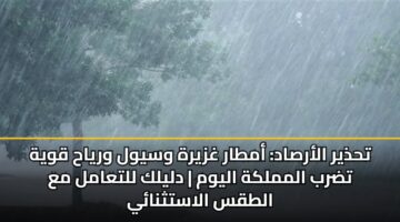 thdhyr alarsad amtar ghzyrh wsywl wryah qwyh tdrb almmlkh alywm dlylk lltaaml ma altqs alastthnay