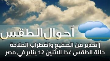 thdhyr mn alsqya wadtrab almlahh halh altqs ghda alathnyn 12 ynayr fy msr