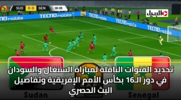 thdyd alqnwat alnaqlh lmbarah alsnghal walswdan fy dwr al16 bkas alamm alifryqyh wtfasyl albth alhsry