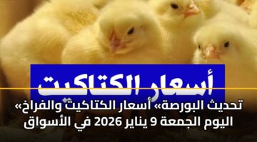 thdyth albwrsh asaar alktakyt walfrakh alywm aljmah 9 ynayr 2026 fy alaswaq 3
