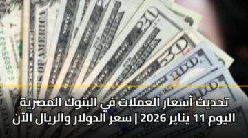 thdyth asaar alamlat fy albnwk almsryh alywm 11 ynayr 2026 sar aldwlar walryal alaan