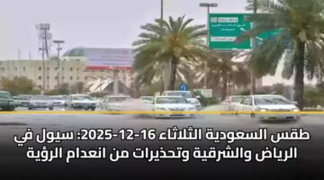 tqs alsawdyh althlathaa 16 12 2025 sywl fy alryad walshrqyh wthdhyrat mn anadam alryh