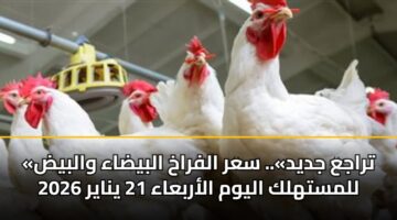 traja jdyd. sar alfrakh albydaa walbyd llmsthlk alywm alarbaaa 21 ynayr 2026