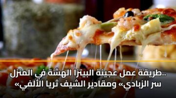 tryqh aml ajynh albytza alhshh fy almnzl. sr alzbady wmqadyr alshyf thrya alalfy 3