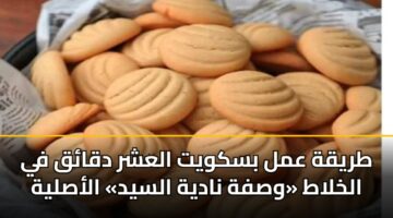 tryqh aml bskwyt alashr dqaq fy alkhlat wsfh nadyh alsyd alaslyh 2