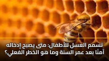 tsmm alasl llatfal mta ysbh idkhalh aamna bad amr alsnh wma hw alkhtr alfaly
