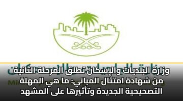 wzarh albldyat waliskan ttlq almrhlh althanyh mn shhadh amtthal almbany ma hy almhlh altshyhyh aljdydh wtathyrha ala almshhd alhdry