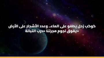 kwkb zhl ytfw ala almaa. wadd alashjar