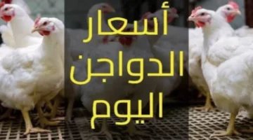 asaar aldwajn msr krtwnh