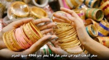 sar aldhhb alywm fy msr ayar 14 yqfz nhw 4966 jnyha lljram