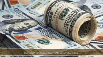 sar aldwlar albnwk almsryh 3