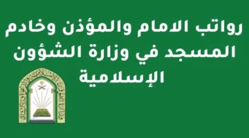 slm rwatb alamh walmdhnyn