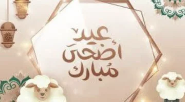 mwad ayd aladha msr 4