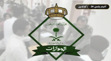 aljwazat alsawdyh tfal khdmh